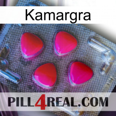 Kamargra 13